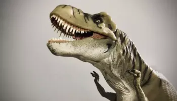 Krahët e shkurtër të T. Rex, rezultat i një teknike të ndryshme gjuetie