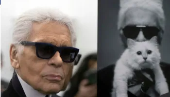 Kujdestari pretendon: Macja e Lagerfeld nuk ka marrë asnjë qindarkë nga trashëgimia deri më sot