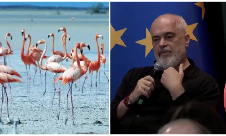 “Kur erdha unë në qeveri, u kthyen flamingot në Shqipëri”, Rama: Vjosa e Narta s’janë prekur dhe s’do të preken