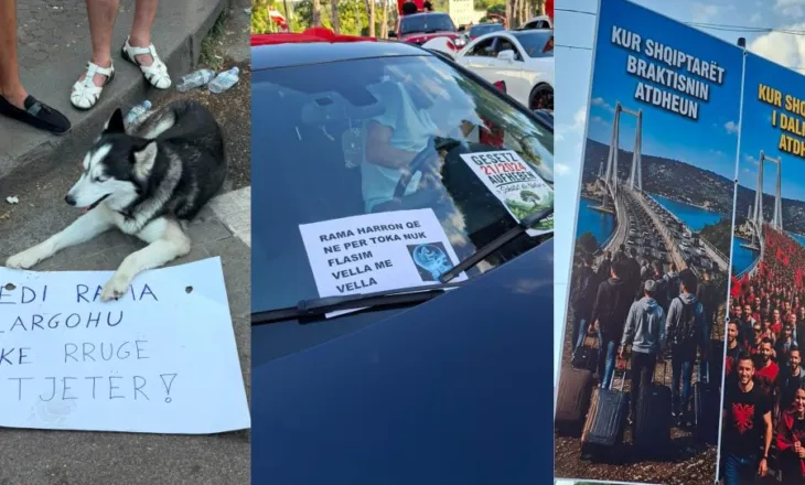 “Kur shqiptarët i dalin zot atdheut”/ Protestuesit me pankarta në duar para Kryeministrisë (FOTO)