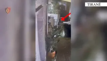 Me pistoletë dhe municion luftarak gati për të grabitur një banesë në Farkë, përfundon në pranga 53-vjeçari