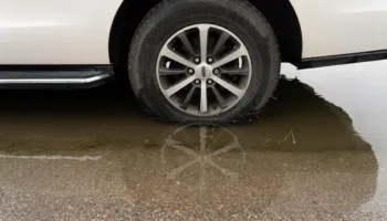 Mijëra njerëz pa energji elektrike në Zelandën e Re, shkak përmbytjet