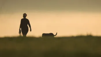 Ndiheni të përgjumur në tavolinën e punës? Një shëtitje 5-minutëshe do t’ju gjallërojë