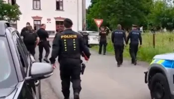 Ngjarje tronditëse në Çeki, nëna u hedh fëmijën e porsalindur qenve