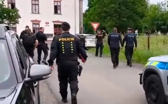 Ngjarje tronditëse në Çeki, nëna u hedh fëmijën e porsalindur qenve
