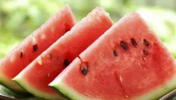 Një nga frutat më të preferuara të verës/ Studimi interesant: Konsumimi i shalqirit mund të ulë rrezikun e sëmundjeve..