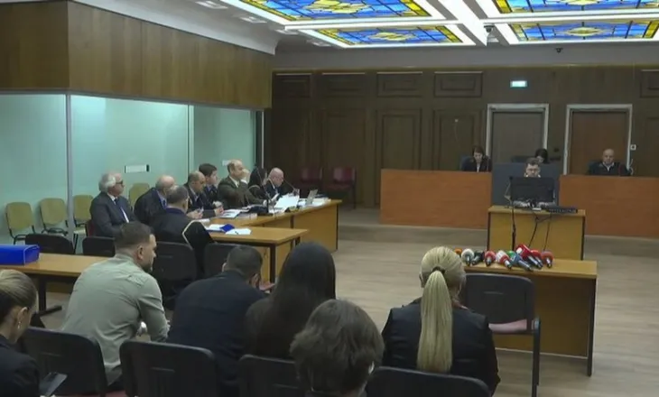 “Nuk kishte informacion të qartë për pronarët”, çfarë zbuloi Violeta Shqevi në gjyqin e Berishës në GJKKO për dosjen“Partizani”?