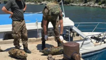 Nxirren nga deti dy predha të Luftës së II-të Botërore në Gjirin e Porto-Palermos