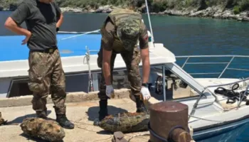 Operacion i bazës ushtarake, nxirren nga deti dy predha të Luftës së II-të Botërore në Gjirin e Porto-Palermos