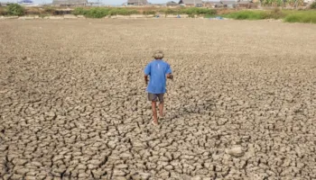 Organizata Botërore Meteorologjike paralajmëron El Niño të fuqishme këtë verë, rritet rreziku i motit ekstrem global