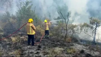 Përfshihet nga flakët kabina elektrike në fshatin Shkozë të Pukës/ Zjarri përhapet edhe në zonën pyjore përreth