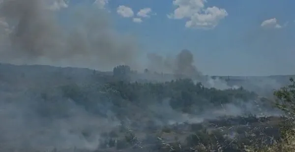 Përkeqësohet situata e zjarrit pranë Landfillit dhe Inceneratorit të Elbasanit/ Flakët afrohen te fusha e mbetjeve