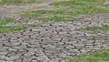 Po vjen Super El Nino, OKB paralajmëron: I nxehtë siç nuk e kemi parë kurrë