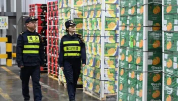 Politika zero-tarifore e Kinës krijon mundësi të reja për eksportet dhe investimet afrikane