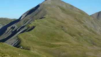 Ra nga shkembi duke mbledhur çaj, gjendet banori nga Gramshi, pritet nxjerrja e tij me barrel