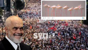 Rama në panik, fillon punë si ‘Algoritëm’: Bëhet flamingo