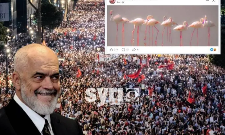 Rama në panik, fillon punë si ‘Algoritëm’: Bëhet flamingo