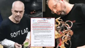 Rama qeras mikun e tij poçar me park fotovoltaik, Ardian Dule i la kryeministrit studion pa qira