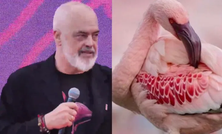 Rama vendos flamingot në profilin e Facebook-ut