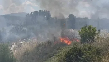 Re të dendura tymi mbulojnë zonën/ Një vatër zjarri përfshin masivin me shkurre, në rrezik Inceneratori i Elbasanit
