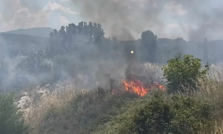Re të dendura tymi mbulojnë zonën/ Një vatër zjarri përfshin masivin me shkurre, në rrezik Inceneratori i Elbasanit