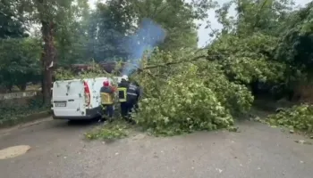 Reshje të dendura shiu në Korçë/ Problematika në rrugë, rrëzohet një pemë mbi automjet