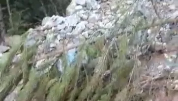 Reshjet e shiut/ Përrenjtë malorë të Korabit marrin përpara bagëtitë, ngordhin 20 krerë lopë