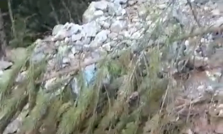 Reshjet e shiut/ Përrenjtë malorë të Korabit marrin përpara bagëtitë, ngordhin 20 krerë lopë