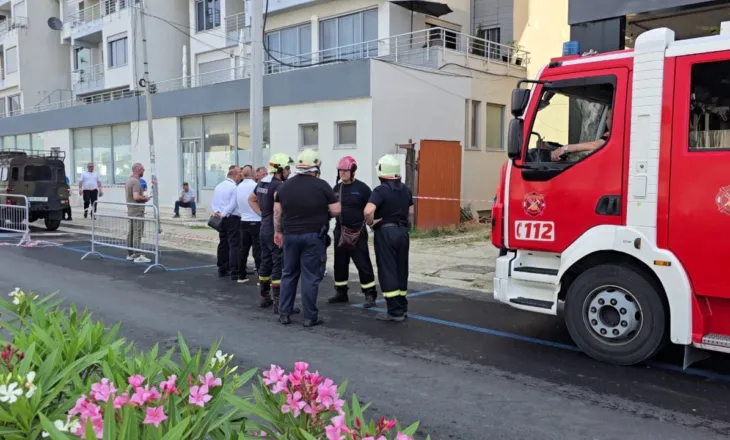 Rrëshqitja e dherave në kodrën e Currilave, nis ndërhyrja/ Forcat e Armatosura largojnë pishat, zona mbetet e izoluar