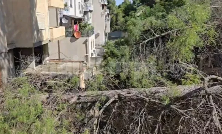 Rrëshqitje dherash në Currila, dëmtime në një pallat, evakuohen banorët