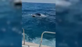 Rrezikonin të mbyteshin në det, Policia Kufitare shpëton dy turistë ukrainas