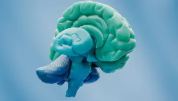 Sëmundja e Alzheimerit nuk përparon njësoj te të gjithë njerëzit