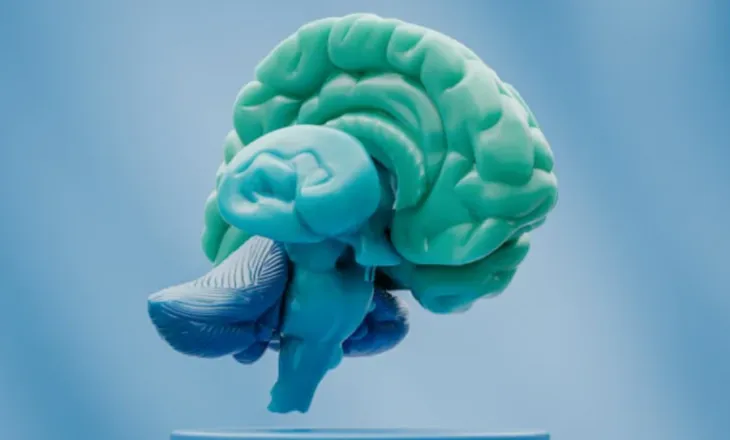Sëmundja e Alzheimerit nuk përparon njësoj te të gjithë njerëzit