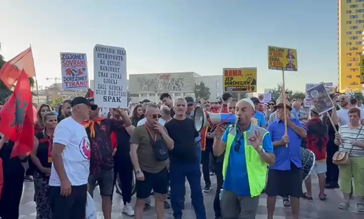 SHËNIM / Pas 23 ditësh, protesta e flamingove e pranoi se do Berishën!