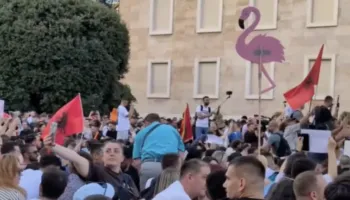 Shqipëria: Kreut të qeverisë i dridhen leqet nga Revolucioni i Flamingove Rozë