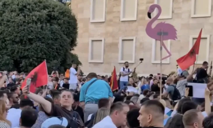 Shqipëria: Kreut të qeverisë i dridhen leqet nga Revolucioni i Flamingove Rozë