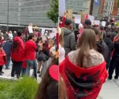 Shqiptarët e Brukselit solidarizohen me Tiranën/ Protestë para KE me thirrje kundër qeverisë: Rama në burg