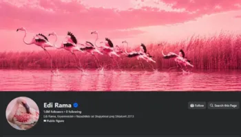 Simboli i protestave në Tiranë! Flamingot ”pushtojnë” Facebook-un e Ramës