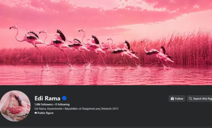 Simboli i protestave në Tiranë! Flamingot ”pushtojnë” Facebook-un e Ramës