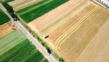 Skema e Bujqësisë, grante edhe për të rinjtë/ Jaupllari: Nxisim prodhim pa pesticide për tregun ndërkombëtar
