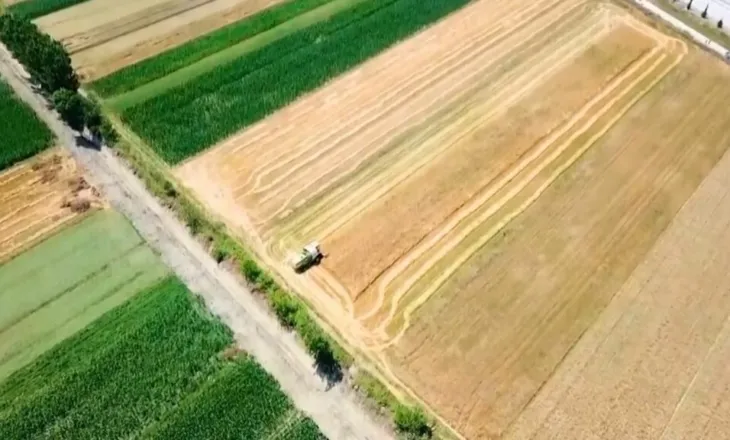 Skema e Bujqësisë, grante edhe për të rinjtë/ Jaupllari: Nxisim prodhim pa pesticide për tregun ndërkombëtar