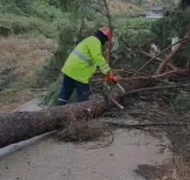 Stuhia ‘mbërthen’ vendin/ Era e fortë rrëzon pemët, bllokohet përkohësisht qarkullimi në Gjirokastër
