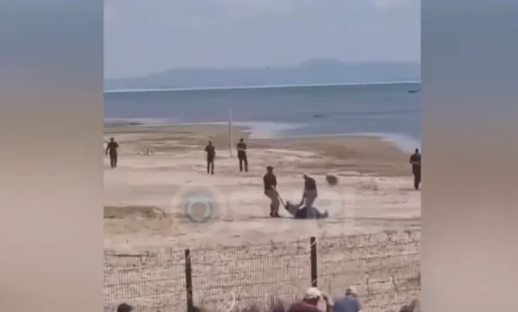 SYRI TV/ Prokuroria kërkon arrest për 4 policë privat, Hita prezanton drejtorin e ri të policisë Vlorë