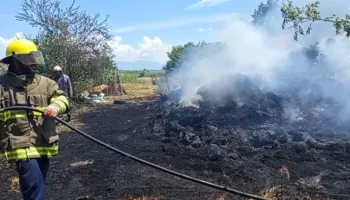 Temperaturat e larta “ndezin” flakët, rrezikohet një shtëpi në Lushnje