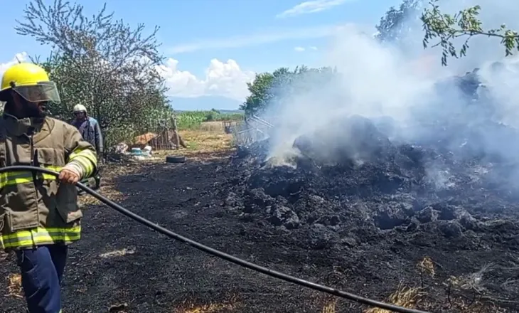 Temperaturat e larta “ndezin” flakët, rrezikohet një shtëpi në Lushnje