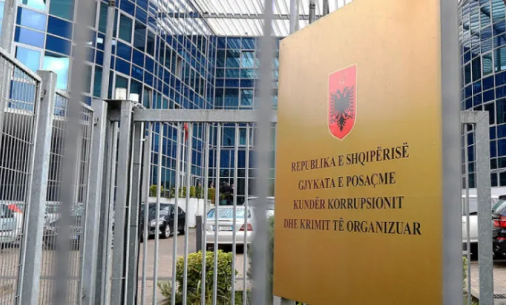 U denoncua nga pronarët e koncesionit të Check Up, Albana Vokshi shpallet e pafajshme