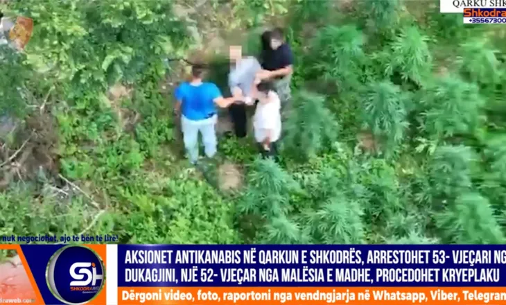 VIDEO – Aksionet antikanabis në qarkun Shkodër, arrestohen dy persona në Dukagjin dhe Malësi e Madhe