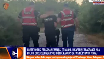VIDEO – Arrestohen dy shtetas në Malësi të Madhe, u kapën në flagrancë duke kultivuar kanabis sativa