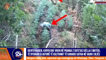 VIDEO – Arrestohen në Vau Dejës motër e vëlla, dyshohet se kultivuan bimë narkotike kanabis sativa