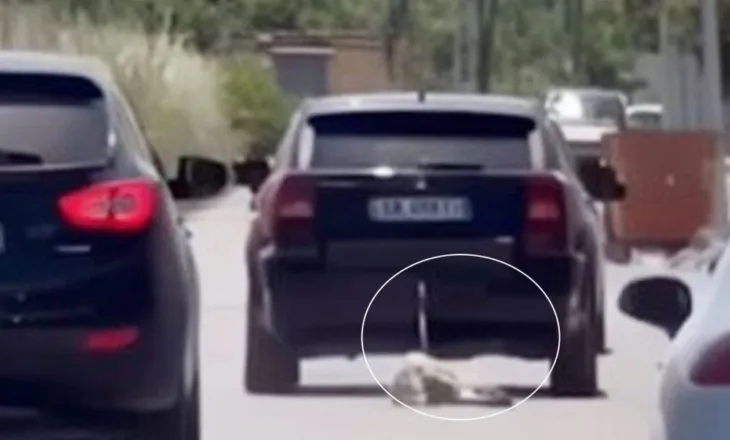VIDEO e rëndë nga Kavaja, qeni lidhet pas makinës dhe tërhiqet zvarrë në rrugë